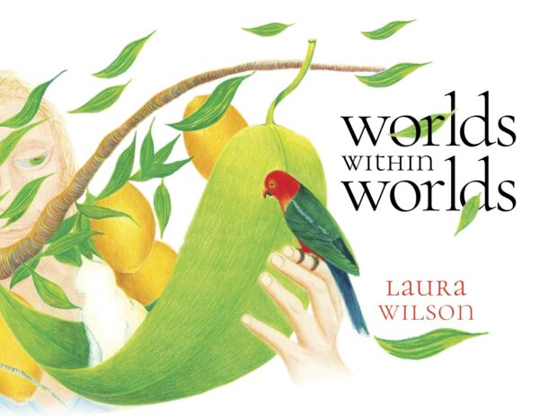 world-within-worlds