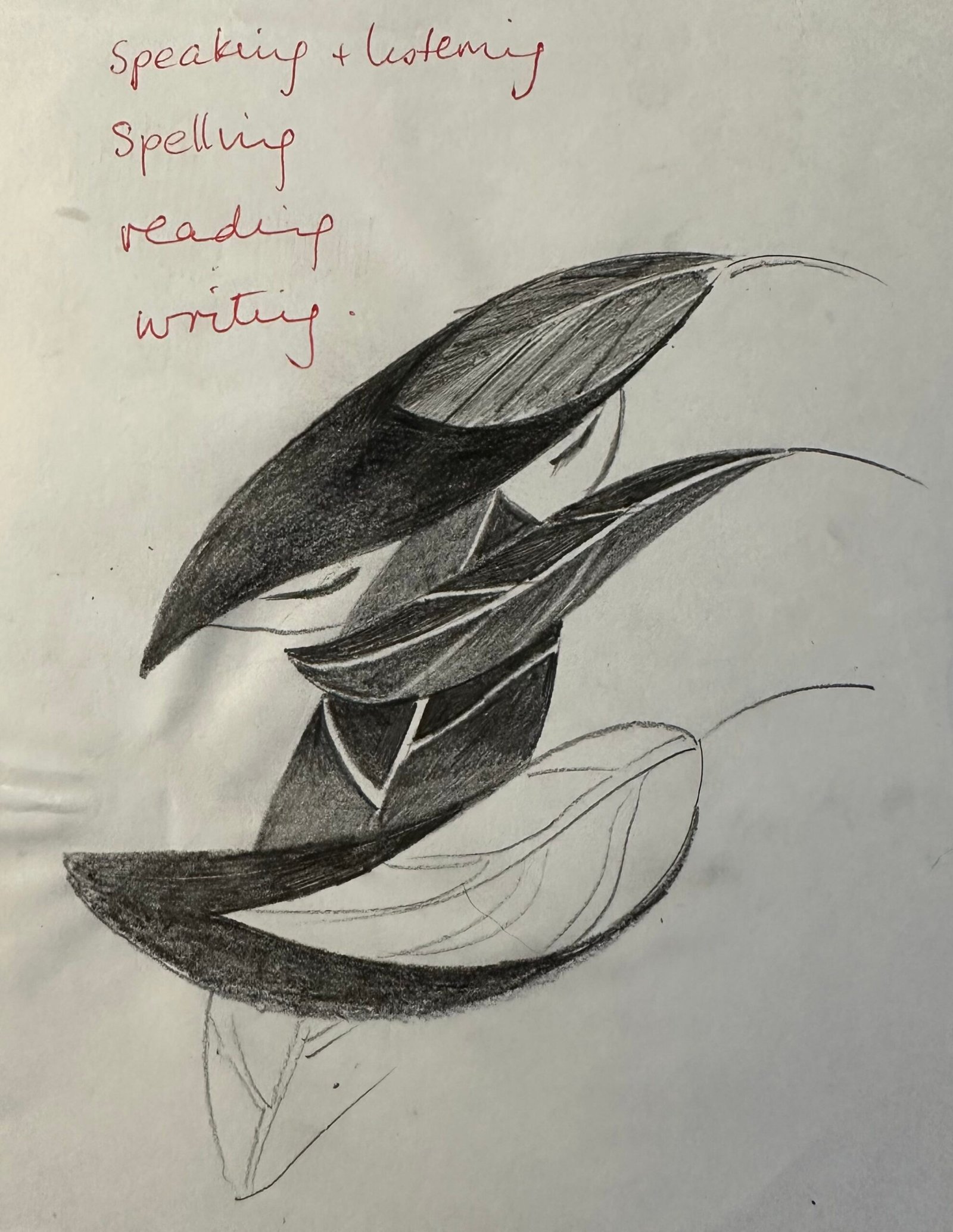 leaf-illustration